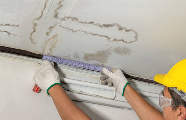 Reliable Water Damage contractor in Wolf Creek, UT by Water Damage Irwin